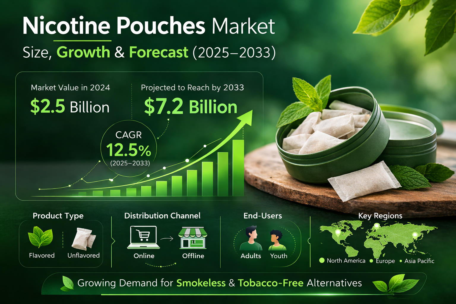 Nicotine Pouches Market Size, Growth Trends, and Future Forecast Through 2033 blog